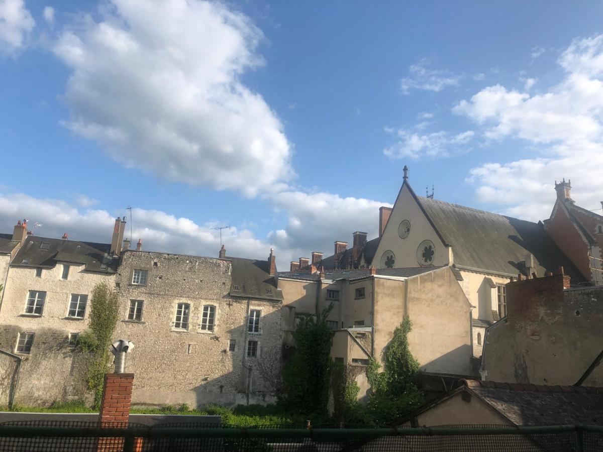 Cote Chateau - Grand Appartement Au Coeur De Блуа Экстерьер фото