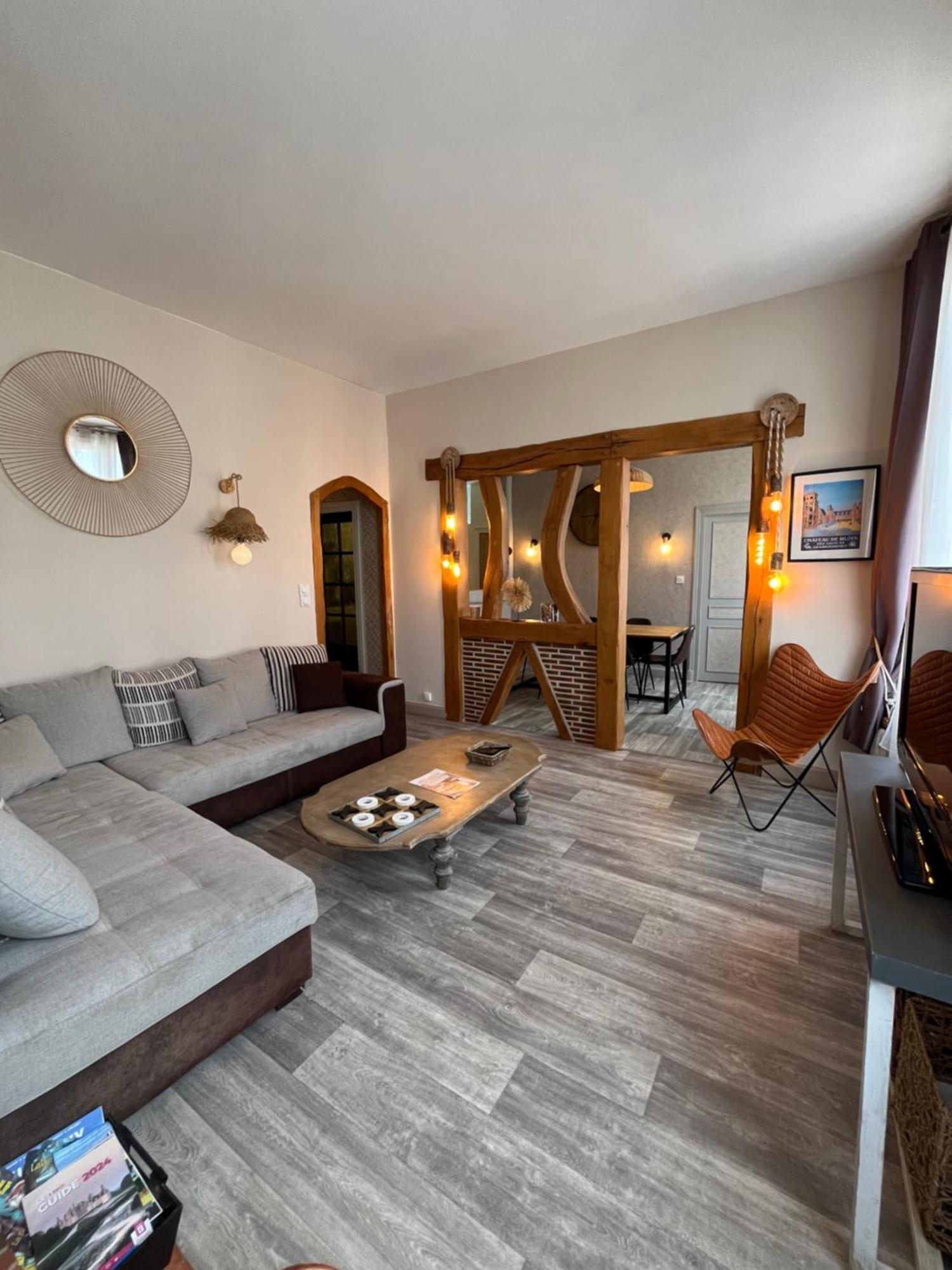 Cote Chateau - Grand Appartement Au Coeur De Блуа Экстерьер фото