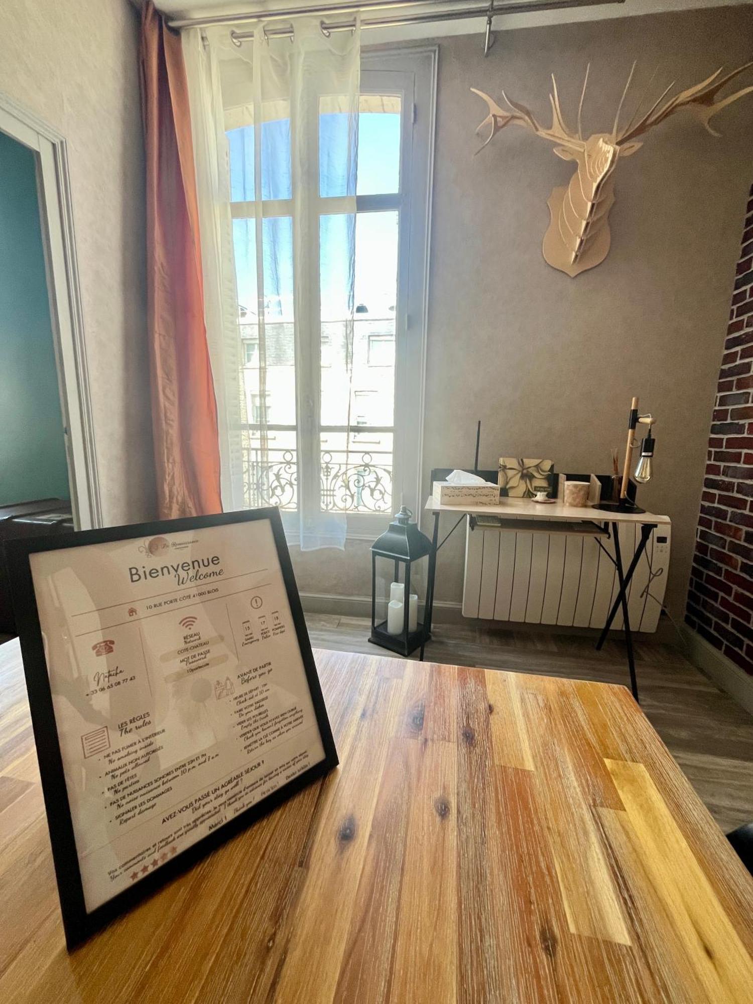 Cote Chateau - Grand Appartement Au Coeur De Блуа Экстерьер фото